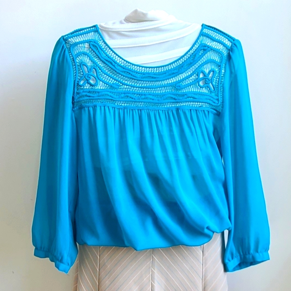 Blue Sheer Blouse